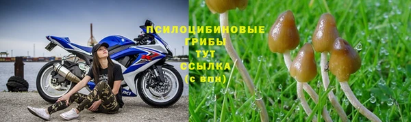 экстази Абаза