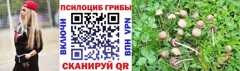 Псилоцибиновые грибы ЛСД  как найти закладки  Белоусово 